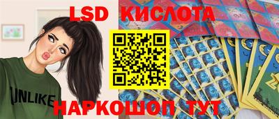 a pvp Кулебаки