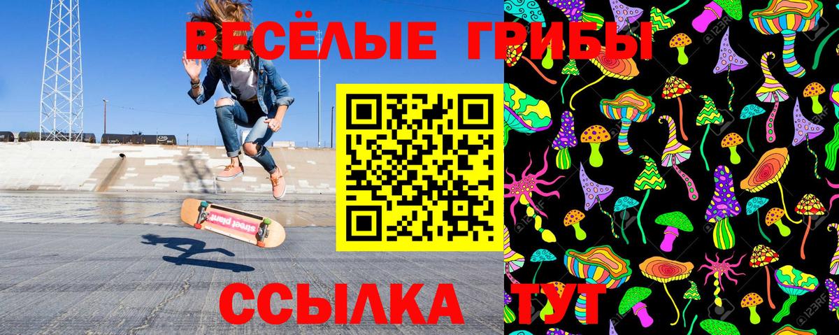 Железногорск  даркнет сайт  Вход с VPN  Псилоцибиновые грибы Magic Shrooms  Галлюциногенные грибы GOLDEN TEACHER 